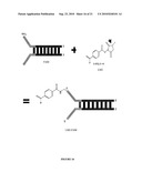 Parallel Proximity Ligation Event Analysis diagram and image