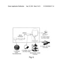 THREE DIMENSIONAL FABRICATION OF BIOCOMPATIBLE STRUCTURES IN ANATOMICAL SHAPES AND DIMENSIONS FOR TISSUE ENGINEERING AND ORGAN REPLACEMENT diagram and image