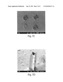 THREE DIMENSIONAL FABRICATION OF BIOCOMPATIBLE STRUCTURES IN ANATOMICAL SHAPES AND DIMENSIONS FOR TISSUE ENGINEERING AND ORGAN REPLACEMENT diagram and image