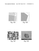 THREE DIMENSIONAL FABRICATION OF BIOCOMPATIBLE STRUCTURES IN ANATOMICAL SHAPES AND DIMENSIONS FOR TISSUE ENGINEERING AND ORGAN REPLACEMENT diagram and image