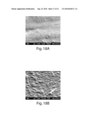 THREE DIMENSIONAL FABRICATION OF BIOCOMPATIBLE STRUCTURES IN ANATOMICAL SHAPES AND DIMENSIONS FOR TISSUE ENGINEERING AND ORGAN REPLACEMENT diagram and image