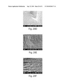 THREE DIMENSIONAL FABRICATION OF BIOCOMPATIBLE STRUCTURES IN ANATOMICAL SHAPES AND DIMENSIONS FOR TISSUE ENGINEERING AND ORGAN REPLACEMENT diagram and image