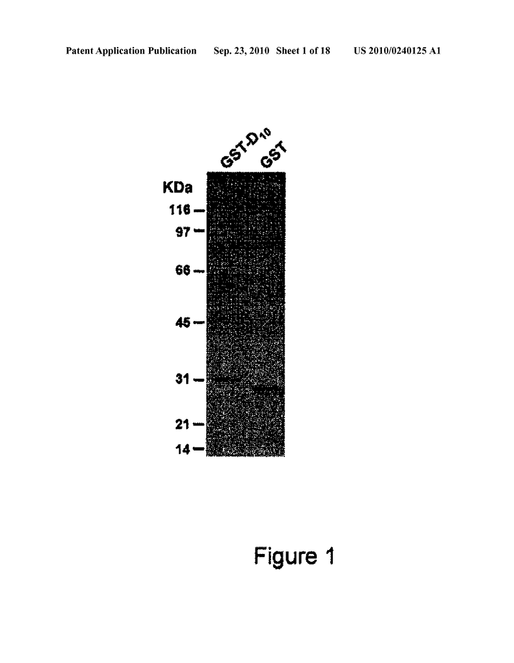 BONE DELIVERY CONJUGATES AND METHOD OF USING SAME TO TARGET PROTEINS TO BONE - diagram, schematic, and image 02