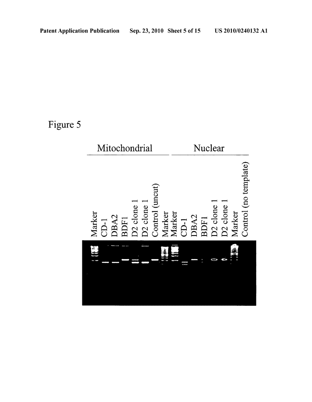 HIGHLY EFFICIENT METHODS FOR REPROGRAMMING DIFFERENTIATED CELLS AND FOR GENERATING ANIMALS AND EMBRYONIC STEM CELLS FROM REPROGRAMMED CELLS - diagram, schematic, and image 06