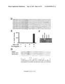 Compositions and Methods for Transposon Mutagenesis of Human Embryonic Stem Cells diagram and image