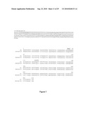 Compositions and Methods for Transposon Mutagenesis of Human Embryonic Stem Cells diagram and image