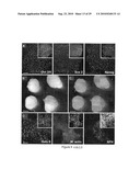 Compositions and Methods for Transposon Mutagenesis of Human Embryonic Stem Cells diagram and image