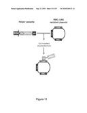 Compositions and Methods for Transposon Mutagenesis of Human Embryonic Stem Cells diagram and image