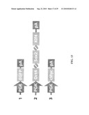 Compositions and Methods for Transposon Mutagenesis of Human Embryonic Stem Cells diagram and image