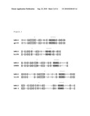 Novel hemopoietin receptor protein, NR10 diagram and image