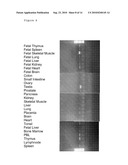 Novel hemopoietin receptor protein, NR10 diagram and image