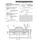 PORTABLE OPTICAL DETECTION CHIP AND MANUFACTURING METHOD THEREOF diagram and image