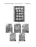 Methods for Delaying Maturity of Crops diagram and image