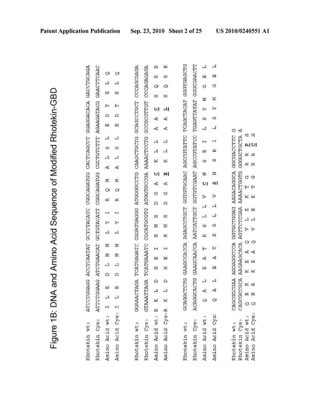 Detection Of Rho Proteins - diagram, schematic, and image 03