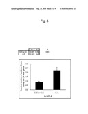 METHOD FOR EVALUATION OF DRUG SENSITIVITY BY ANALYSIS OF POMC GENE diagram and image