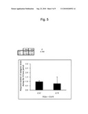 METHOD FOR EVALUATION OF DRUG SENSITIVITY BY ANALYSIS OF POMC GENE diagram and image