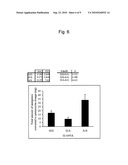 METHOD FOR EVALUATION OF DRUG SENSITIVITY BY ANALYSIS OF POMC GENE diagram and image