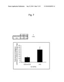 METHOD FOR EVALUATION OF DRUG SENSITIVITY BY ANALYSIS OF POMC GENE diagram and image