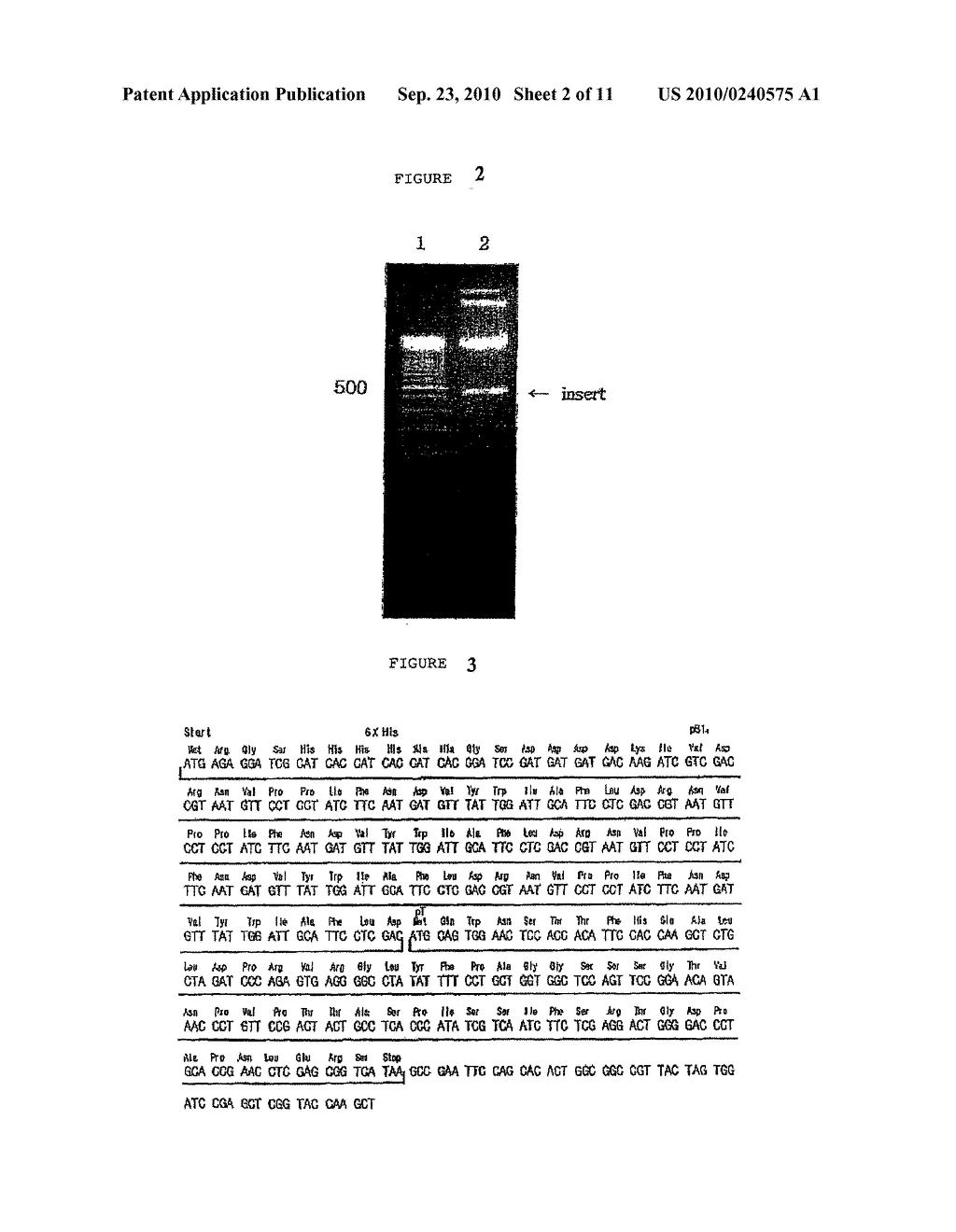 ANTI-OBESE IMMUNOGENIC HYBRID POLYPEPTIDES AND ANTI-OBESE VACCINE COMPOSITION COMPRISING THE SAME - diagram, schematic, and image 03