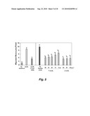 PEPTIDES AND PEPTIDE MIMETICS TO INHIBIT THE ONSET AND/OR PROGRESSION OF FIBROTIC AND/OR PRE-FIBROTIC PATHOLOGIES diagram and image