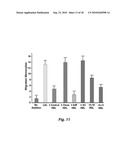 PEPTIDES AND PEPTIDE MIMETICS TO INHIBIT THE ONSET AND/OR PROGRESSION OF FIBROTIC AND/OR PRE-FIBROTIC PATHOLOGIES diagram and image