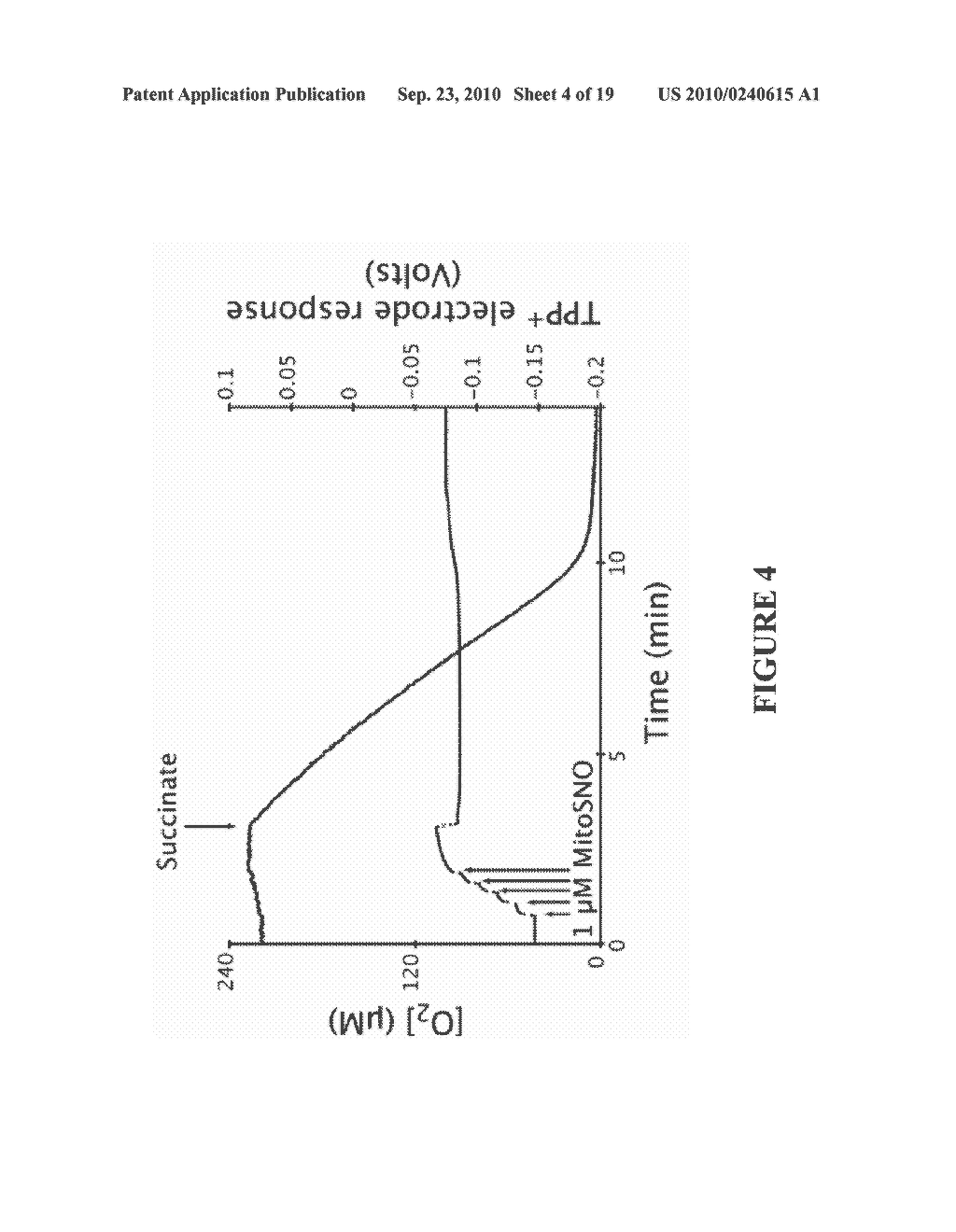 NITRIC OXIDE DONORS - diagram, schematic, and image 05