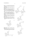 Fluorene Compound and Pharmaceutical Use Thereof diagram and image