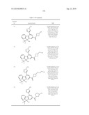 Fluorene Compound and Pharmaceutical Use Thereof diagram and image