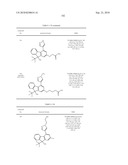 Fluorene Compound and Pharmaceutical Use Thereof diagram and image