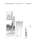 Histone Demethylation Mediated by the Nuclear Amine Oxidase Homolog LSD1 diagram and image