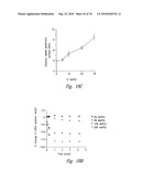 ANTI-ANGIOGENIC COMPOSITIONS AND METHODS OF USE diagram and image