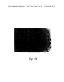 ANTI-ANGIOGENIC COMPOSITIONS AND METHODS OF USE diagram and image