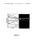 Synthesis and use of colloidal III-V nanoparticles diagram and image