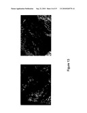 Synthesis and use of colloidal III-V nanoparticles diagram and image