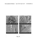 Microporous Polymers, Methods for the Preparation Thereof, and Uses Thereof diagram and image