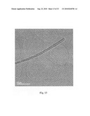 Microporous Polymers, Methods for the Preparation Thereof, and Uses Thereof diagram and image