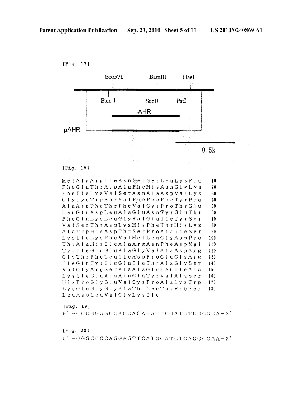 GENE RELATED TO GROWTH PROMOTING FUNCTION OF ACETIC ACID BACTERIUM, ACETIC ACID BACTERIUM BRED USING THE GENE AND METHOD FOR PRODUCING VINEGAR USING THE ACETIC ACID BACTERIUM - diagram, schematic, and image 06