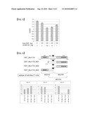 ANTI-Muc 17 ANTIBODY diagram and image