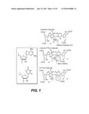 THERAPEUTIC COMPOSITIONS diagram and image