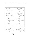 THERAPEUTIC COMPOSITIONS diagram and image