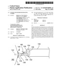 SYSTEM AND METHOD FOR TREATING TUMORS diagram and image