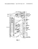 Nerve Stimulation For Treatment of Obesity, Metabolic Syndrome, and Type 2 Diabetes diagram and image