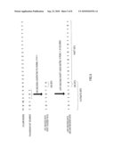 RADIO COMMUNICATION APPARATUS AND ERROR DETECTING ENCODING METHOD diagram and image