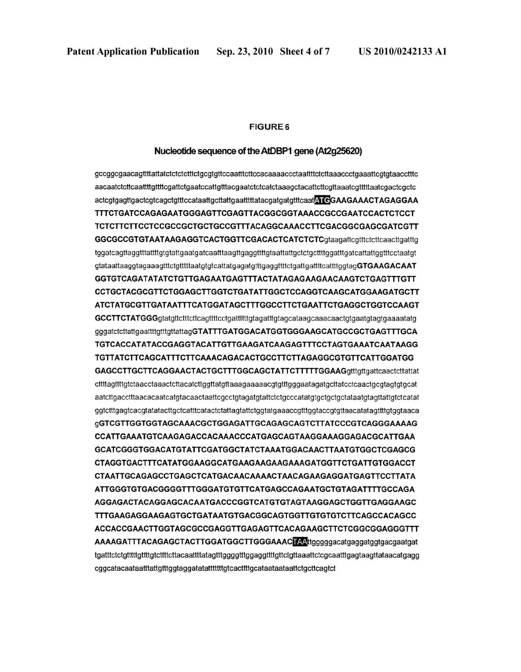 MANIPULATION OF THE FUNCTION OF AtDBP1 IN ORDER TO GENERATE POTYVIRUS RESISTANCE - diagram, schematic, and image 05