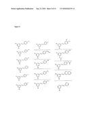 XENOHORMESIS BASED COMPOSITIONS AND METHODS diagram and image