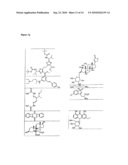 XENOHORMESIS BASED COMPOSITIONS AND METHODS diagram and image