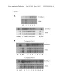 Modulation Of Plant Cell Wall Deposition diagram and image