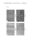 Modulation Of Plant Cell Wall Deposition diagram and image