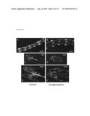 Modulation Of Plant Cell Wall Deposition diagram and image