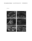 Modulation Of Plant Cell Wall Deposition diagram and image